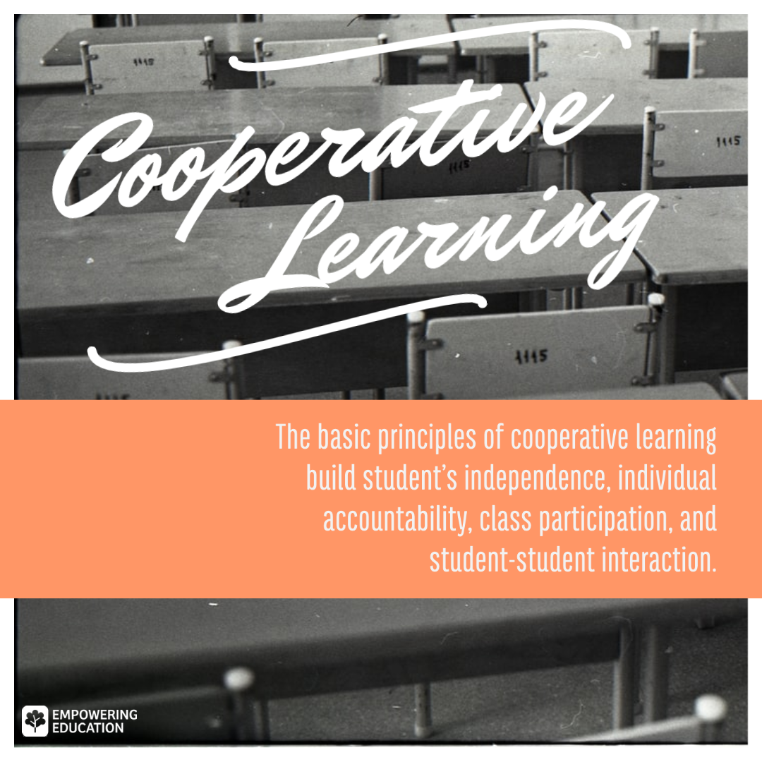 Cooperative Learning  